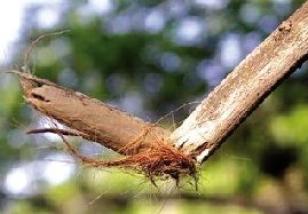 ��ũ�ܱ��ط������ƻ��ϻ��ټ�