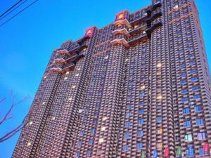 ���������¥�������� ���Ƴ����Ͷ�ά��(ͼ)