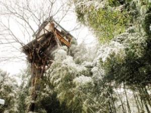 15�����������񳲡���