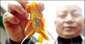 ��������ħ����30��ǰ�ͻ�