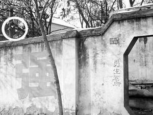 ��ص��ǲٳ�