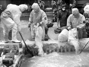 ��������Ⱦ�¼�7�������˱��̾�