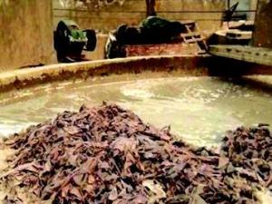 Ƥ������������ƽ������������ȾŴ�ҩ��