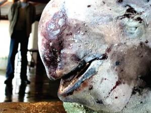 ��ͥ��������������н��