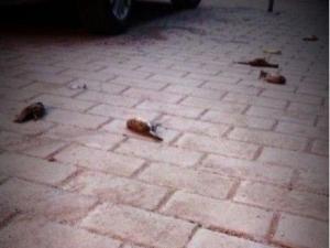 �Ͼ�С��������ȸ�޹����� �������ٷ�����(ͼ)