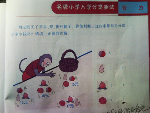 �������׶�԰��ҵ���ö�Ԫ����