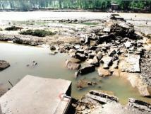 ������Ӫ���ſ��� ����50������