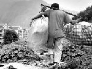 ӳ����������֮һ��ˮ��