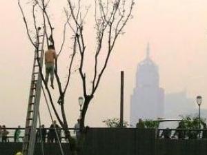 �Ϻ���̲һ���������ϵ����� ������δ����