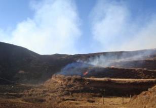 �Ĵ�ͻ����ԭ���22�˾Ȼ�����