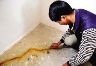 �������÷��ɡ����ķ��� �ձ����ѷ�