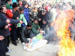 ���ϡ�У����׹��14��ѧ������ ˾��������