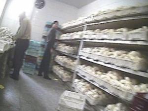 �Ϻ������ȳ��б��ض�������Ⱦɫ��ͷ