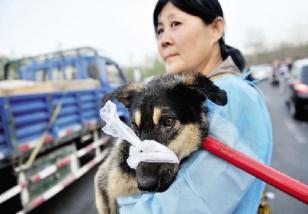 ���ﱣ��־Ը�߸���·�����˹���