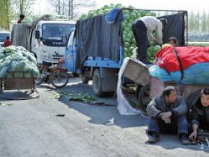 ɽ�����Ĳ˼ۼ���8��һ�� 39���ũ������ɱ