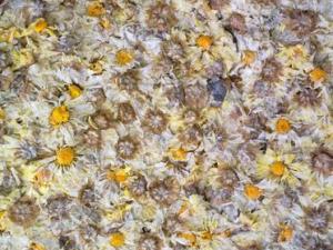 ����ÿ��Լ��200�֡����ջ��������г�