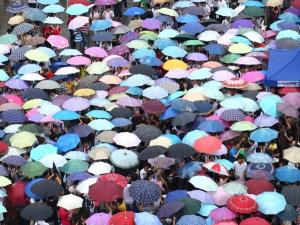 ���˼��롰���Ը߿��ӷ����ˡ� ����Ȩ����Ǯ��͸