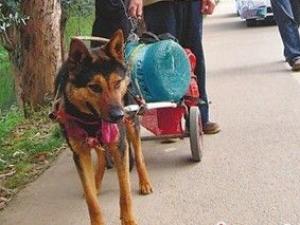 �Ϻ����ǹ�ÿ����ɽ��ˮ �������۹���̫��