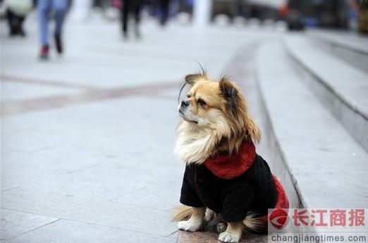 �й��桰��Ȯ�˹�����������4������˻ؼ�