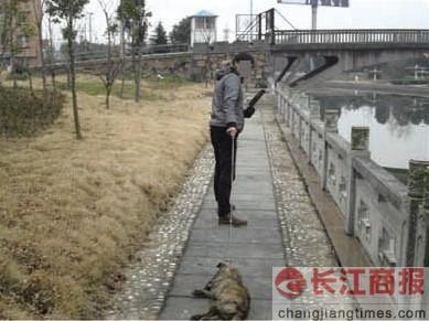 �ּ�Ű���ţ�����������Űɱ���˹�������Ƭ��������ͼ��