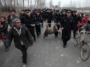 ɽ����ׯ����׷��20������д����