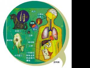 ��Ů�����ʴ��̱�� ���������ﻼ��