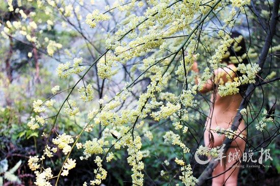 天体森林浴.jpg 天体森林浴.jpg