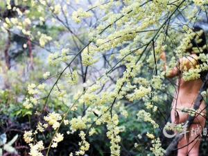 �㶫�ơ�����ɭ��ԡ�� Ů�ο������ͻ�