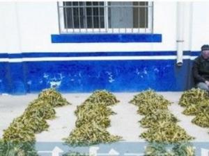 ���һ��5ë����������� �ҹ�������ֹ�Ƿ���ֲ���