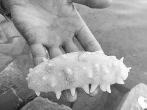 �����̳������ ʳ�ú��֪����10��Ԫ