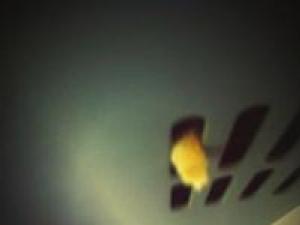 ����΢���ع⣺�˿Ͱ�������������յ�