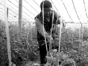 �Ŀ�״Ԫ�Ӿ���ְ���ϼ��ֲ� һ���ǧ����