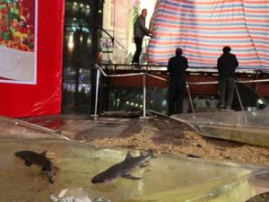 �Ϻ����н�����ױ�����15���� 3����������