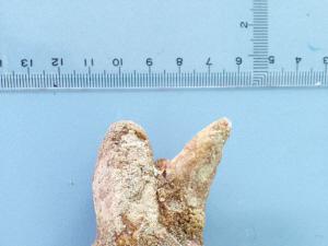 31��ʱ������������� ʮ����ݻ���һ����׽�ʯ