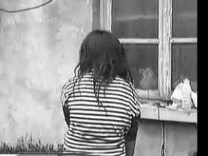 11��Ů������ɵ�������ϵ ���Ļ�����ѧ