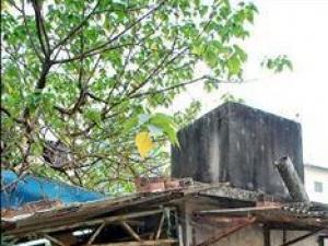 ̨���ӼľӲ���10�� ��Ͱ����������������ֽ�伢