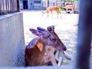 ��������԰¹���������Ѫ �����ܾ�:̫������