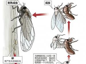 �㽭������һ������֪�� ��֪�˳ɾ�ϯ�ر���