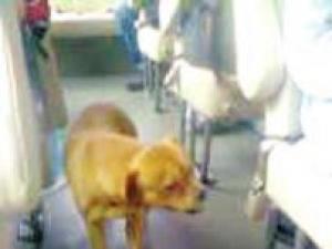 С��ΪѰ�����ڳ�վ��15�� ÿ�˿ͳ���һ��