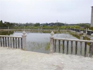 ����3���к�ˮ������ �·�ʱĸ��20������齫