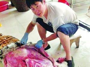 ����ɹ���ϻ�Ƥ�������� ר�ң�����������