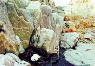 ɽ�������ֶദԭ��Ư����