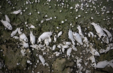 ͼƬ���£���ͥˮǳ �����Ѱ�