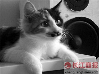 ������н1500ԪƯ���Ϻ� 6�������򷿻���Բ