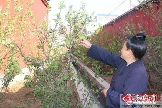 �����������һ�꿪��λ�����ι�(��ͼ)