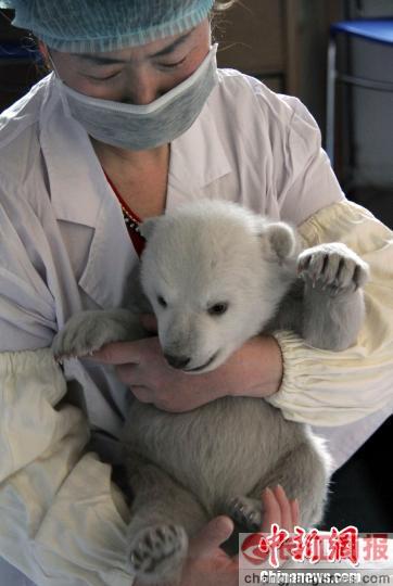 ɽ�����������ı����ܱ������ۡ����ȡ����˰� 