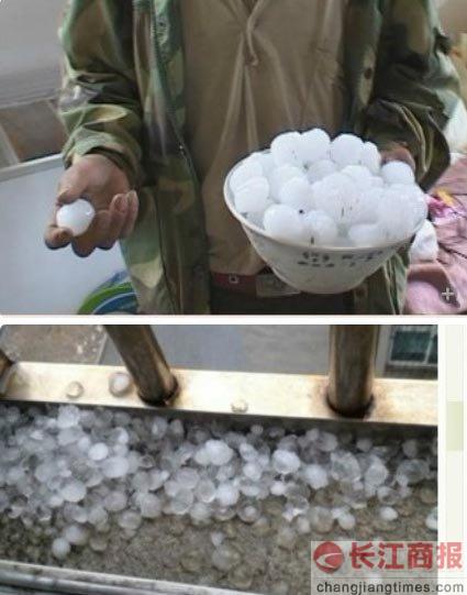 �㽭��ض��¶��������� ���ֱ������2����(ͼ) 