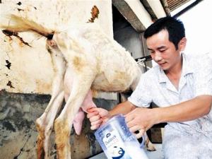 ��ɳ�̰�¥�������Ů���������ع��̡�