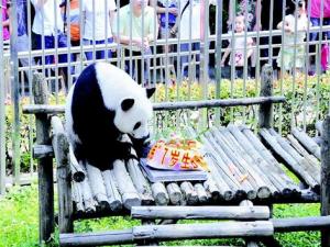 ����è��ϣ������ΰΰ���ں������������