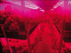 �ҹ�ʵ��ɹ�̫���ֲ�